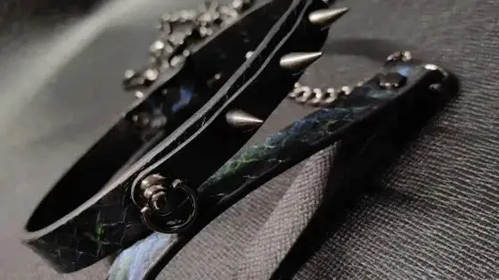 西檬之家switch属性的奥秘:字母圈中你需要了解的多重角色 一