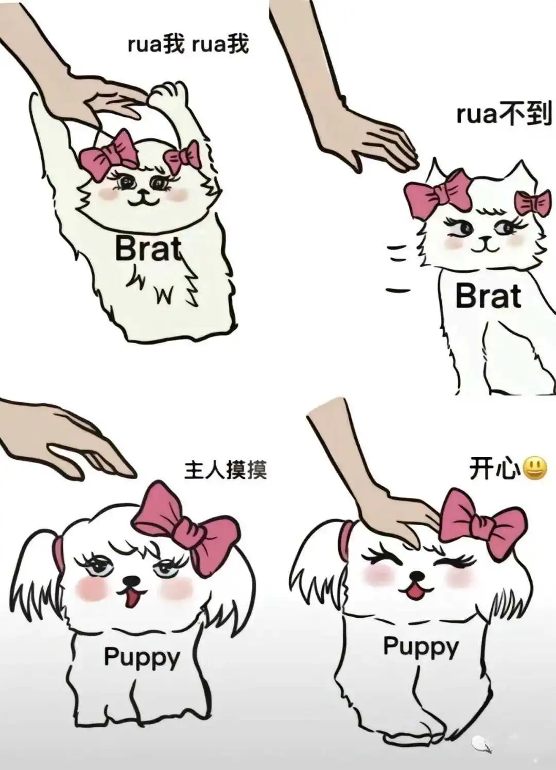 西檬之家m倾向是什么?探索你的字母圈内心秘密 一