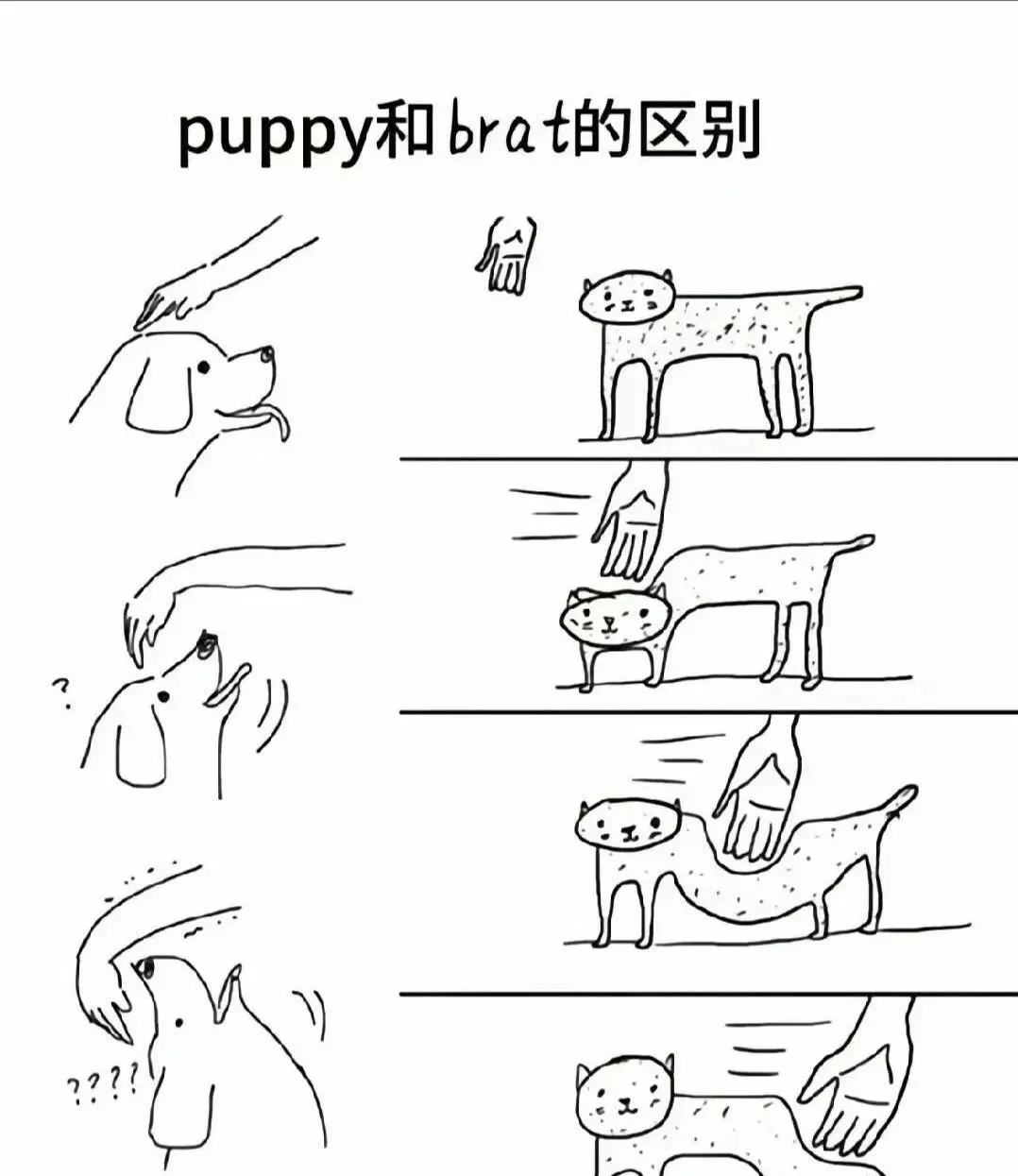 西檬之家2025年恋物癖的真相与误解 一